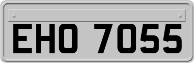 EHO7055