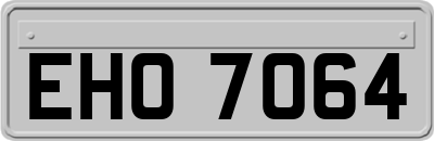 EHO7064