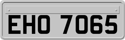 EHO7065