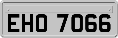 EHO7066