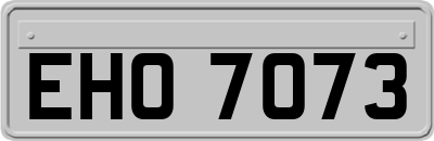 EHO7073
