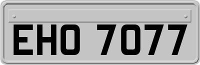 EHO7077