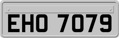 EHO7079