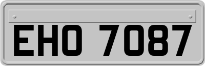 EHO7087
