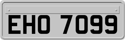 EHO7099