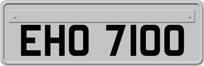 EHO7100