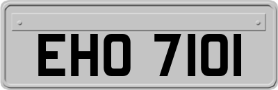 EHO7101