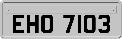 EHO7103