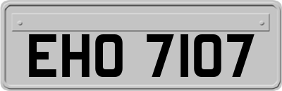 EHO7107
