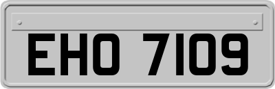 EHO7109