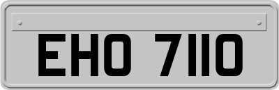 EHO7110