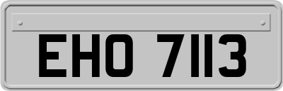 EHO7113