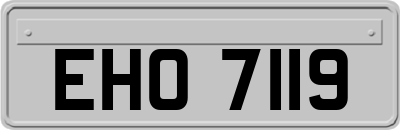 EHO7119