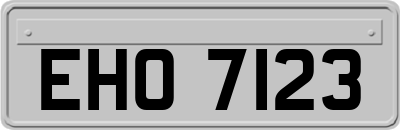 EHO7123