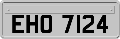 EHO7124