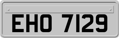 EHO7129