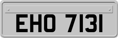 EHO7131