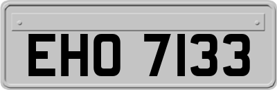 EHO7133
