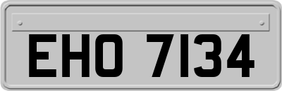 EHO7134