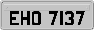 EHO7137