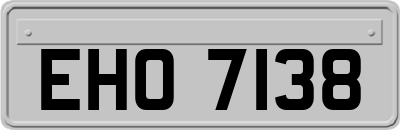 EHO7138
