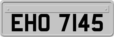 EHO7145