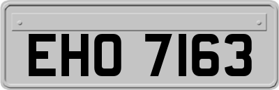 EHO7163