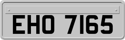 EHO7165