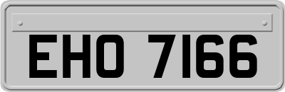 EHO7166