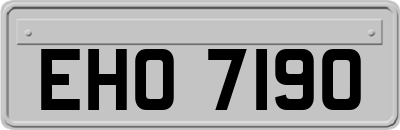EHO7190