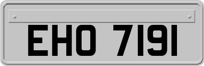 EHO7191
