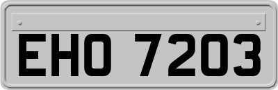 EHO7203