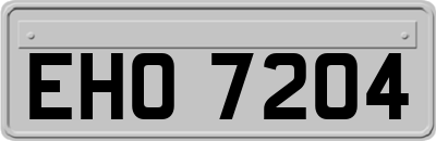 EHO7204