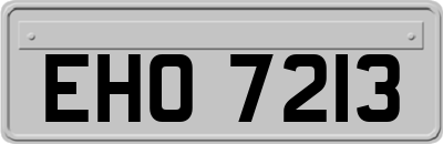 EHO7213