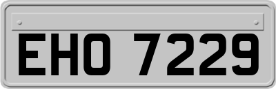 EHO7229