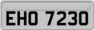 EHO7230