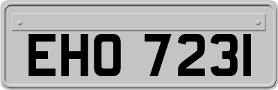 EHO7231