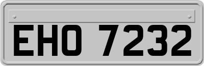 EHO7232