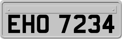EHO7234