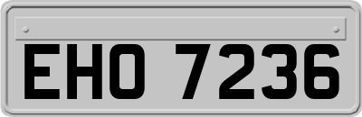 EHO7236