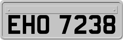 EHO7238