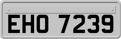 EHO7239