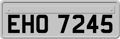 EHO7245