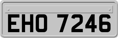 EHO7246