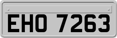 EHO7263