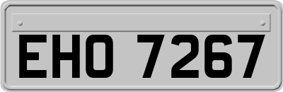 EHO7267