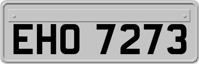 EHO7273