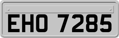 EHO7285