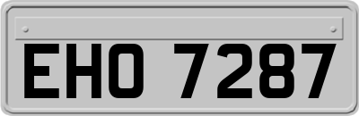 EHO7287