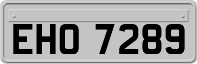EHO7289